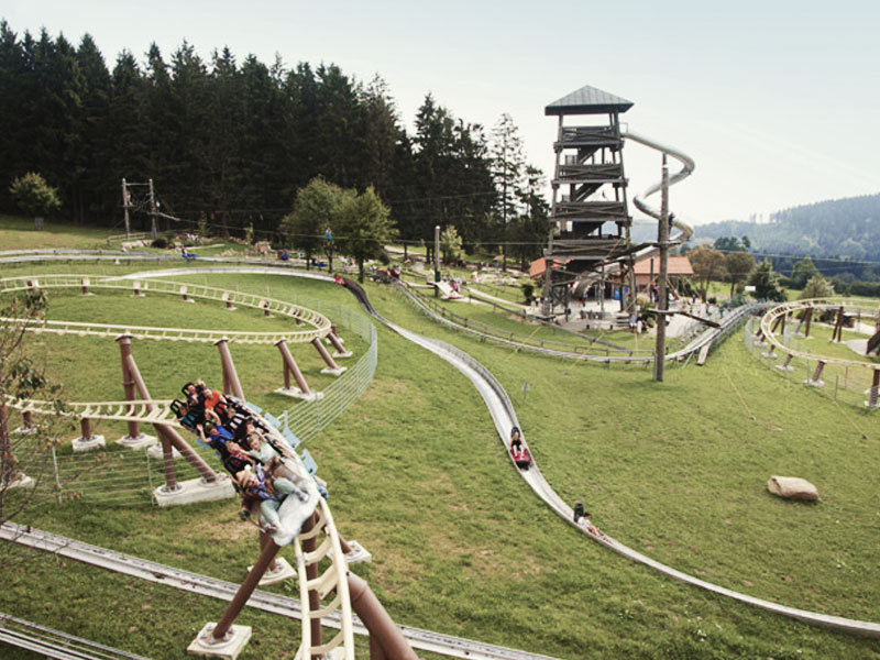 Sommerrodelbahn in Grün