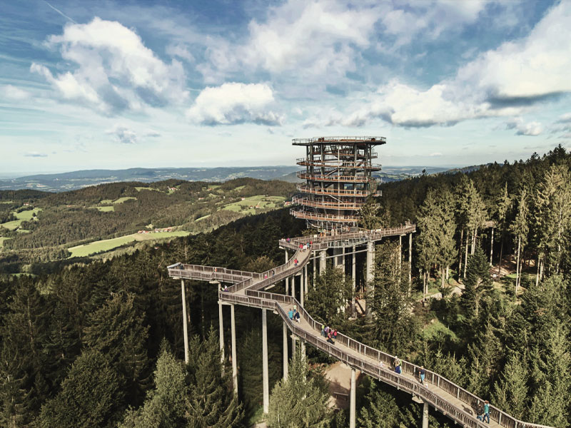 Waldwipfelweg